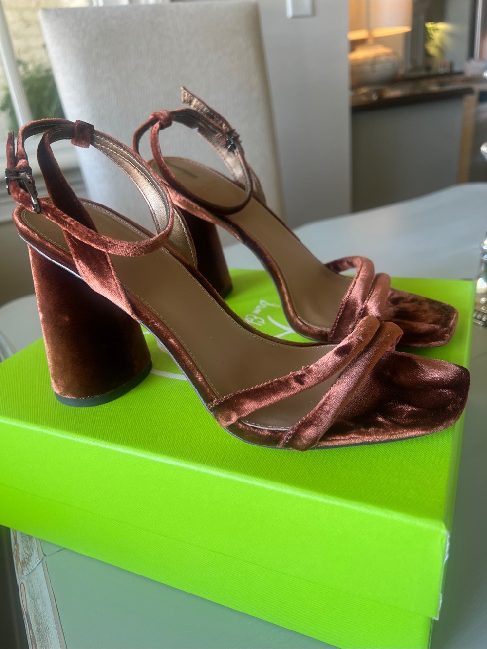 Sam Edelman Velvet Block Heel Sandals in Rust Brown